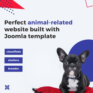 JM Animals Classifieds